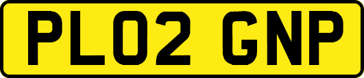 PL02GNP