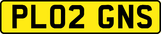 PL02GNS
