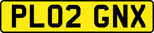 PL02GNX