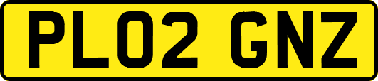 PL02GNZ