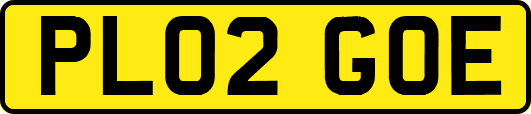 PL02GOE