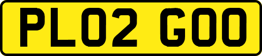 PL02GOO