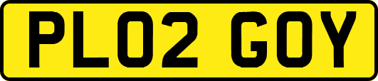PL02GOY