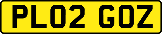 PL02GOZ