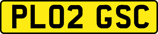 PL02GSC