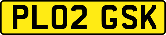 PL02GSK