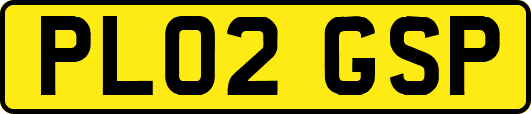 PL02GSP