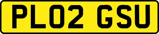 PL02GSU