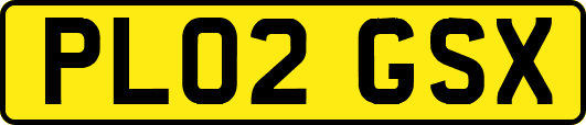 PL02GSX