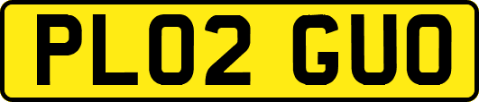 PL02GUO