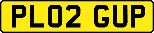 PL02GUP