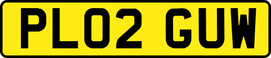 PL02GUW