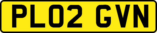 PL02GVN