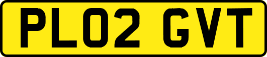 PL02GVT