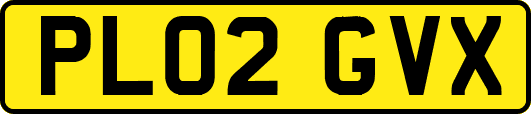 PL02GVX