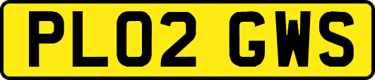 PL02GWS