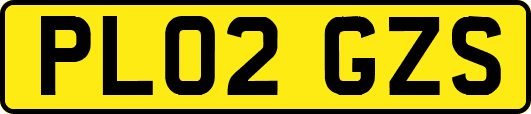 PL02GZS