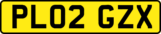 PL02GZX