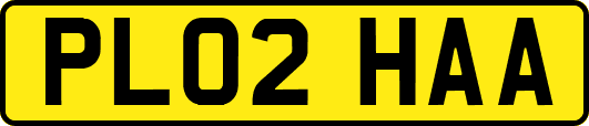 PL02HAA