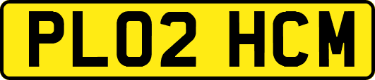 PL02HCM