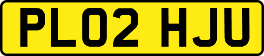 PL02HJU