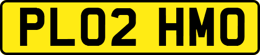 PL02HMO