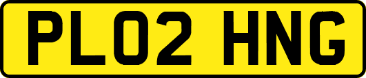 PL02HNG