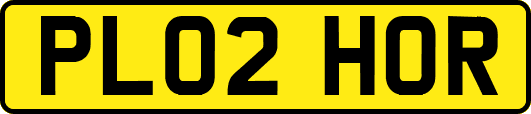 PL02HOR
