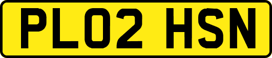 PL02HSN