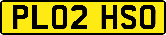 PL02HSO