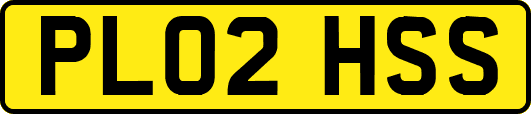 PL02HSS