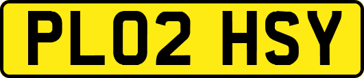 PL02HSY