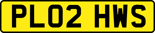 PL02HWS