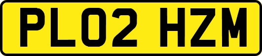 PL02HZM