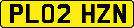PL02HZN