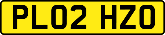 PL02HZO