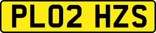 PL02HZS