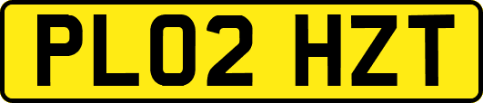 PL02HZT