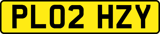 PL02HZY
