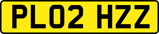 PL02HZZ