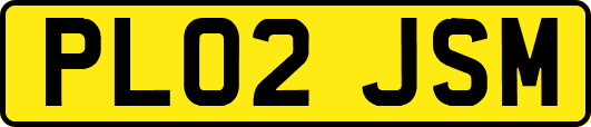 PL02JSM