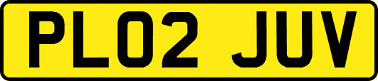 PL02JUV