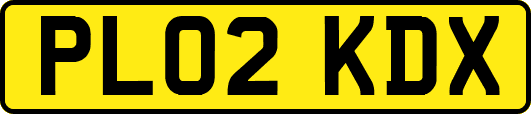 PL02KDX