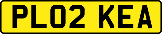 PL02KEA