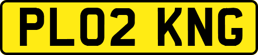 PL02KNG