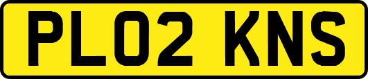 PL02KNS