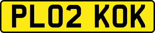 PL02KOK