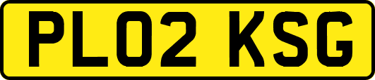 PL02KSG