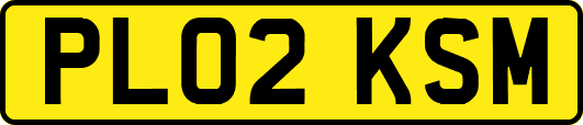 PL02KSM