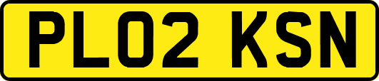 PL02KSN
